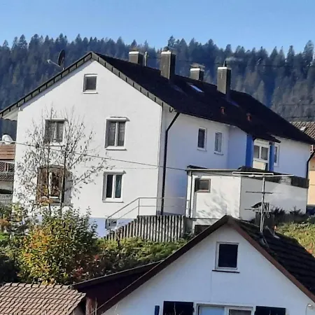 Apartment Ferienwohnung Kussmaul *